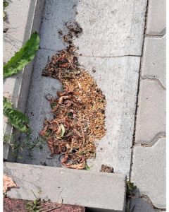 instasize_250708165021